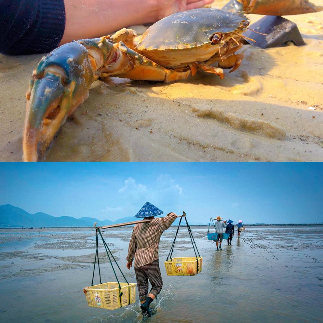 星辰海岸度假村官方号