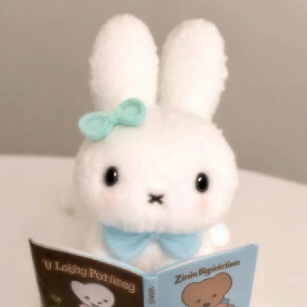 AAA净净岛兔兔乐园