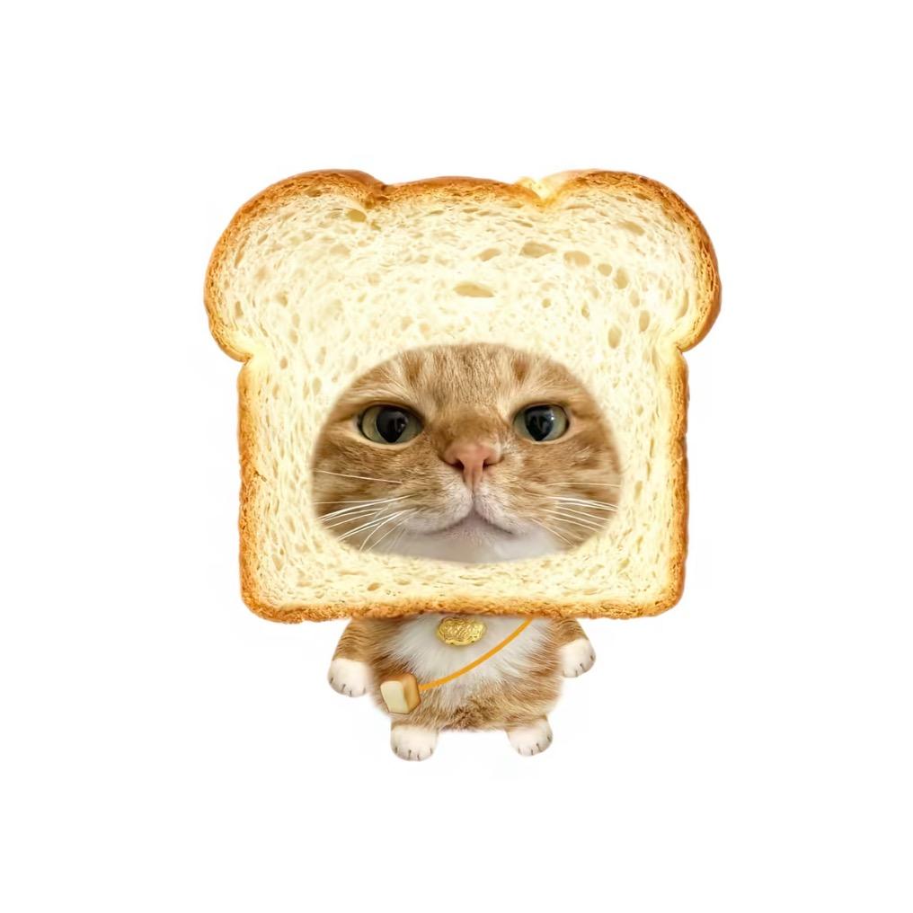 嫁给我农村两套自建房