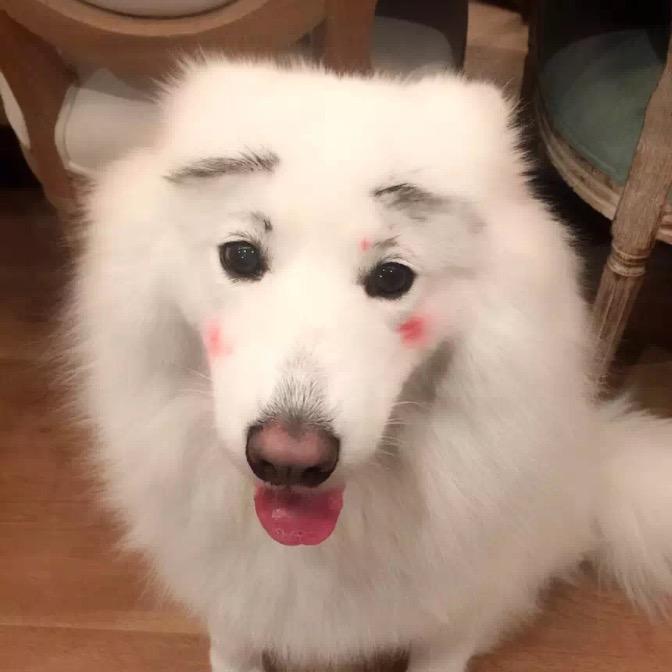 nemo