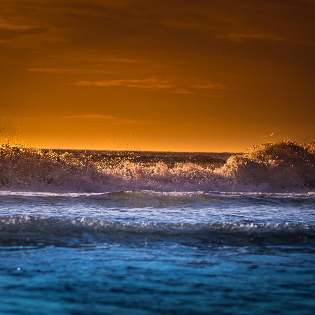 教培印刷专家（全国可接）