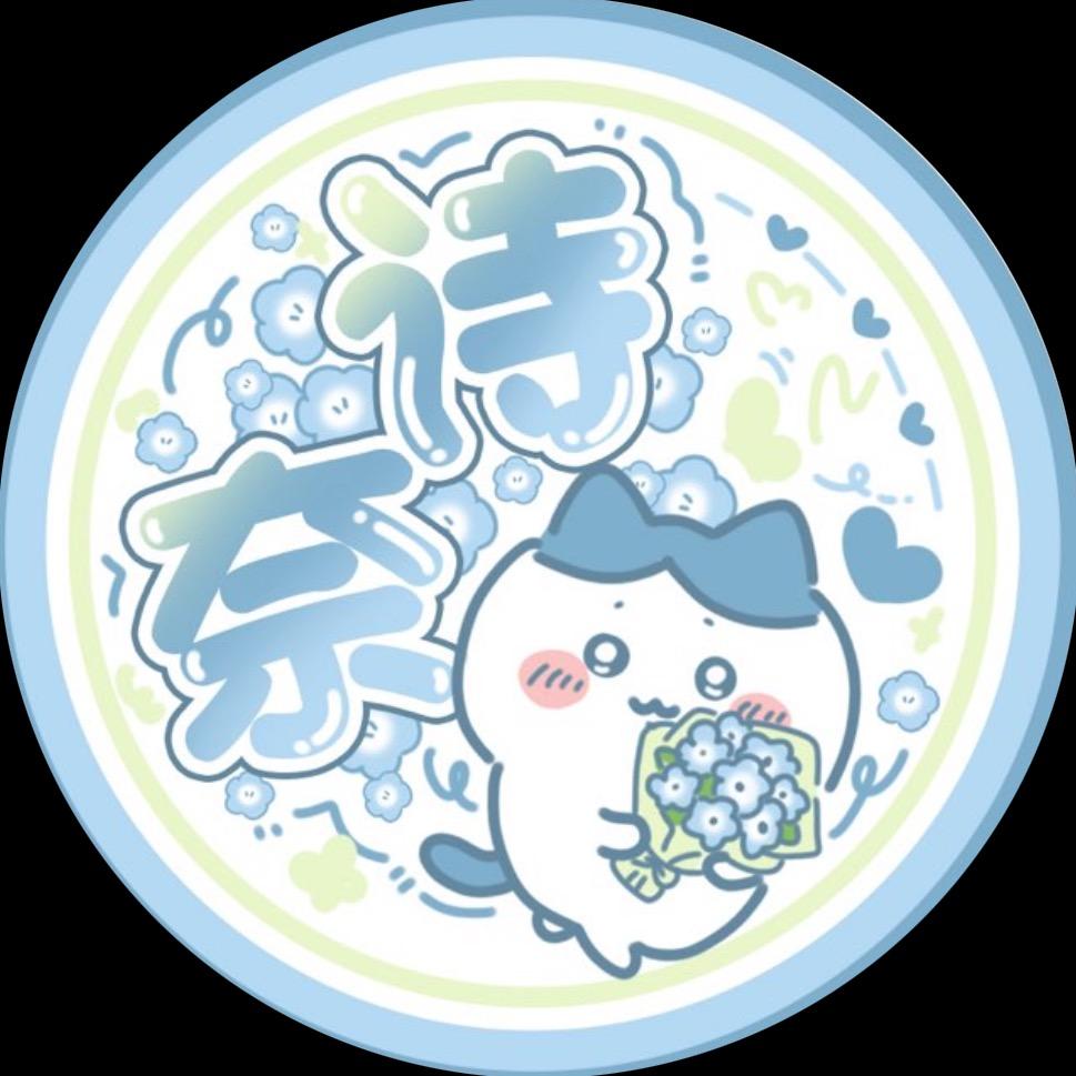 诗奈战队