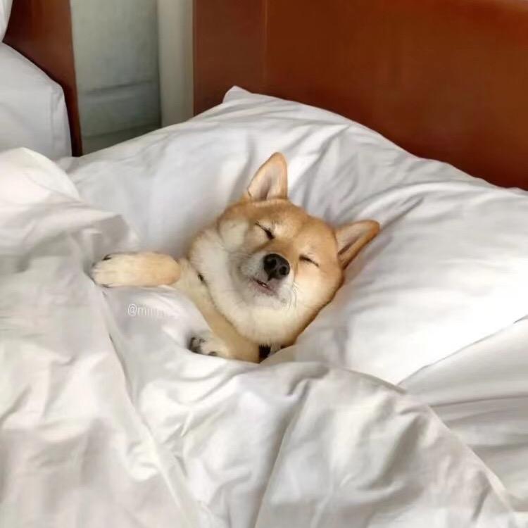 玄枵
