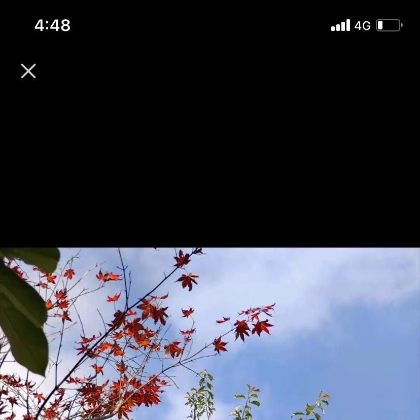 甄选围巾百货店