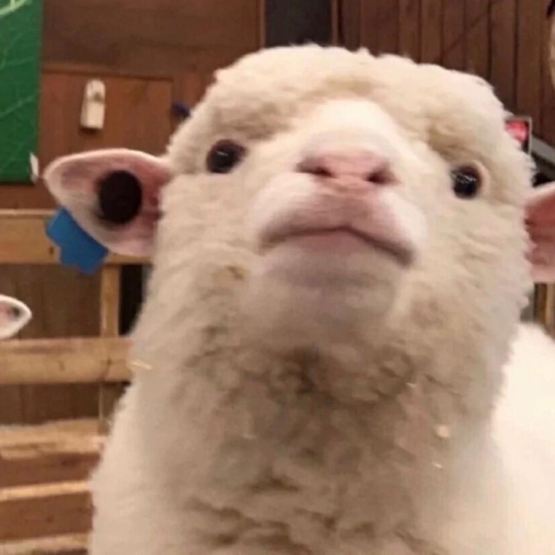 别打了我是酱油