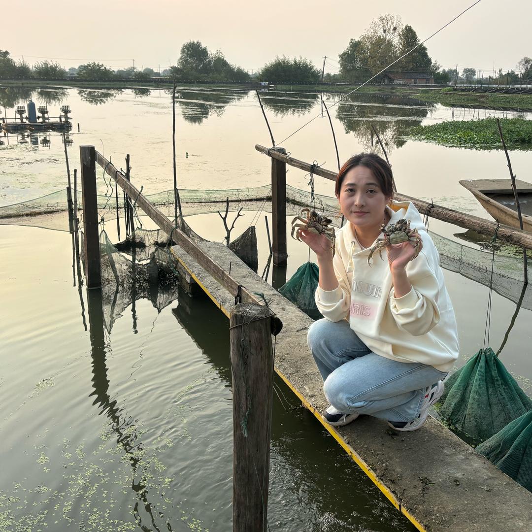 固城湖大闸蟹小丽