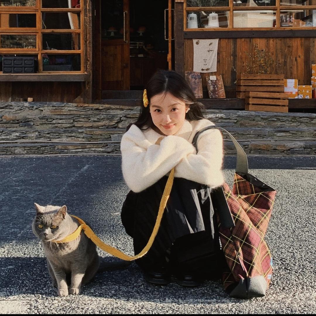🐈