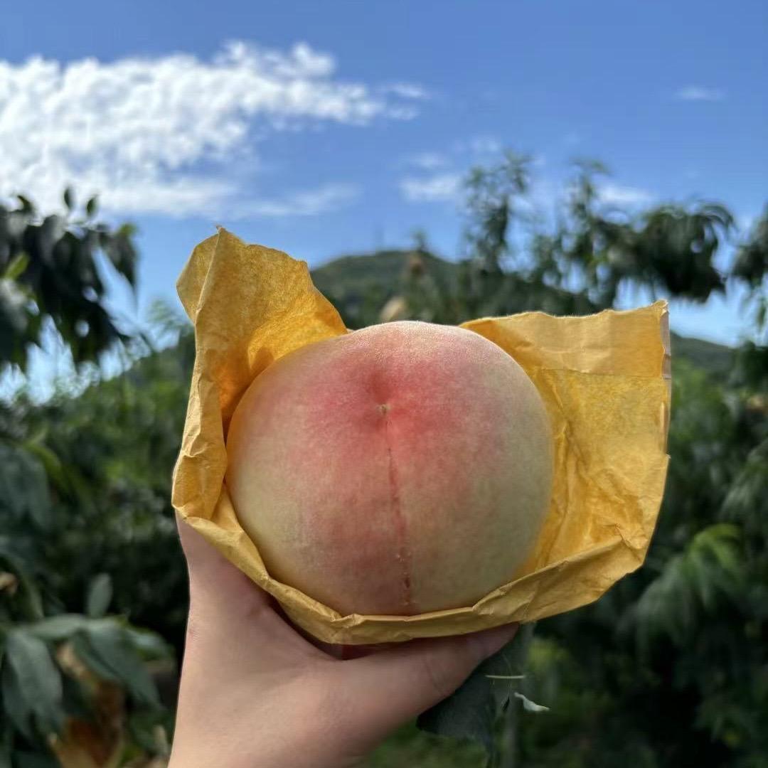 云品农业