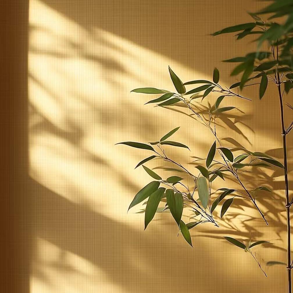 水果原产地供应链