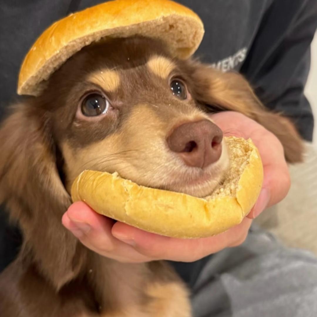 鸡蛋灌饼.