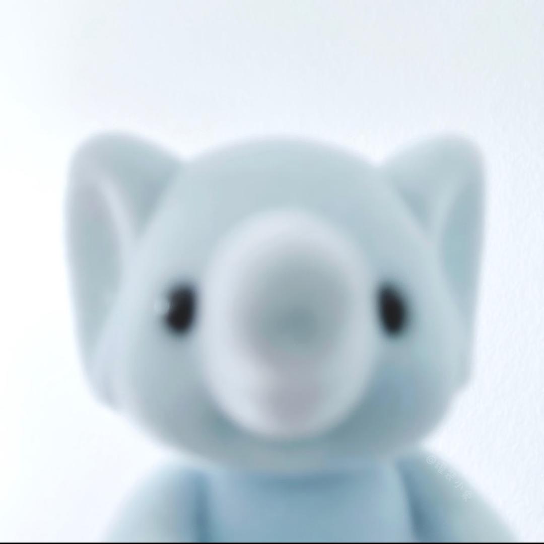 正义海豹