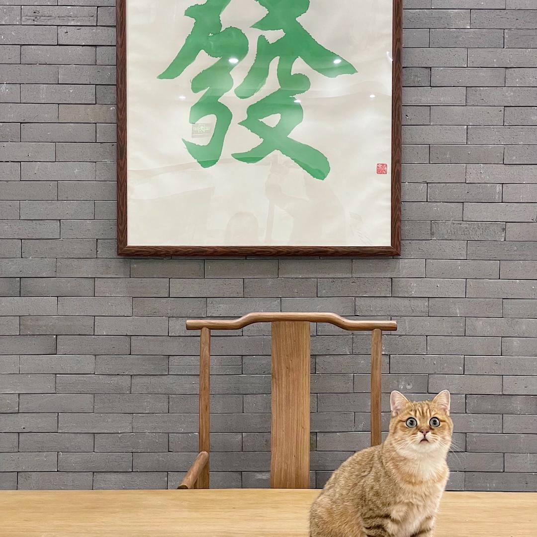 小菜鸡七百搭日记