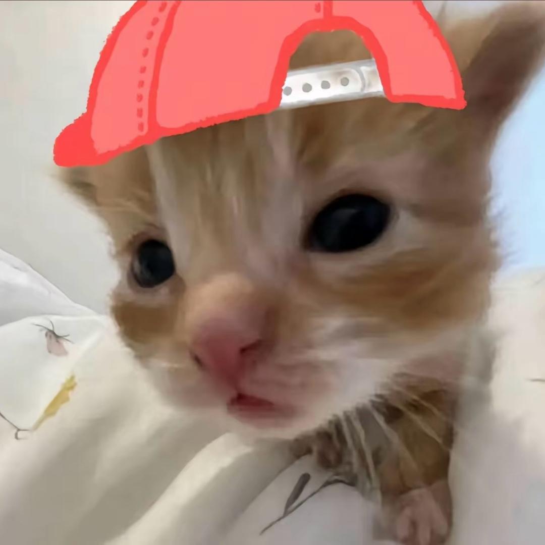 小宇