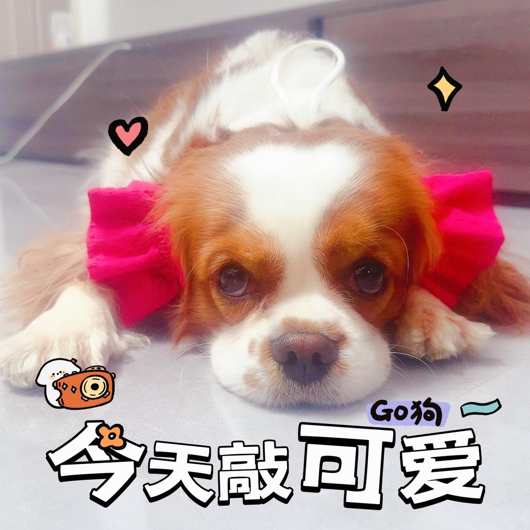 别拿豆包不当干粮