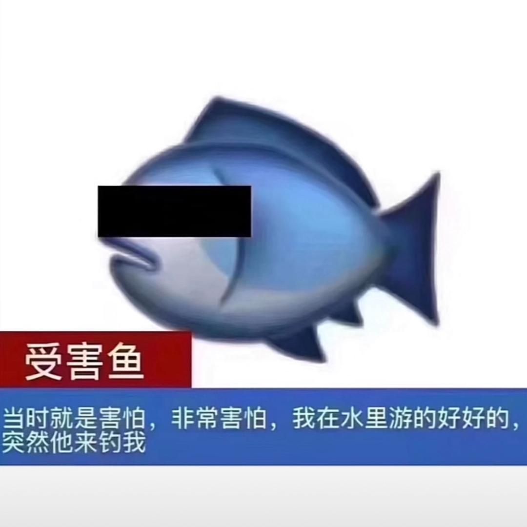 就放在这里