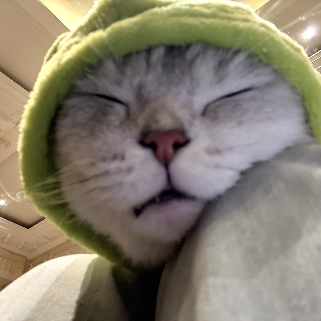 咫尺.