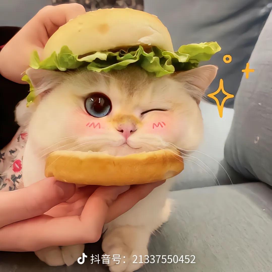 每日一乐