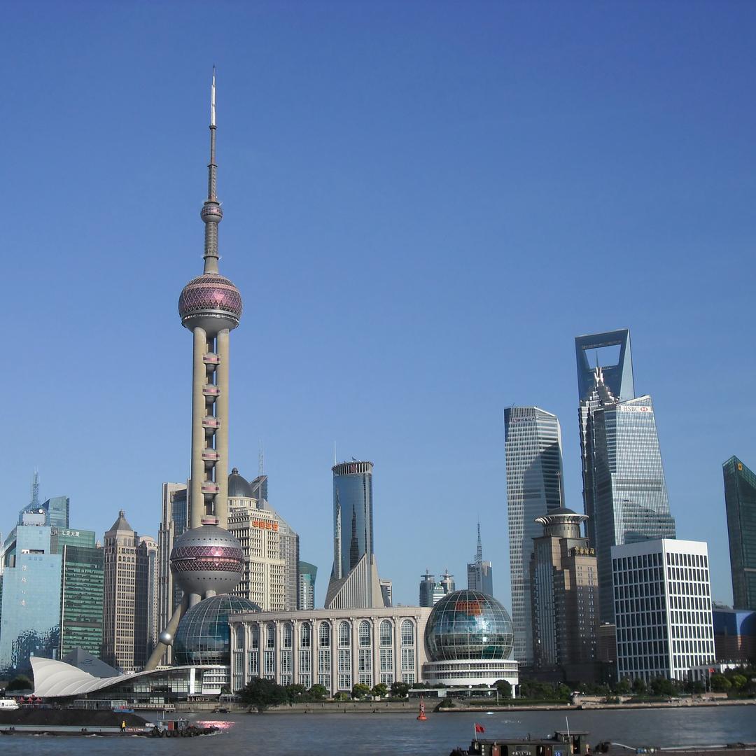 龙哥的港湾