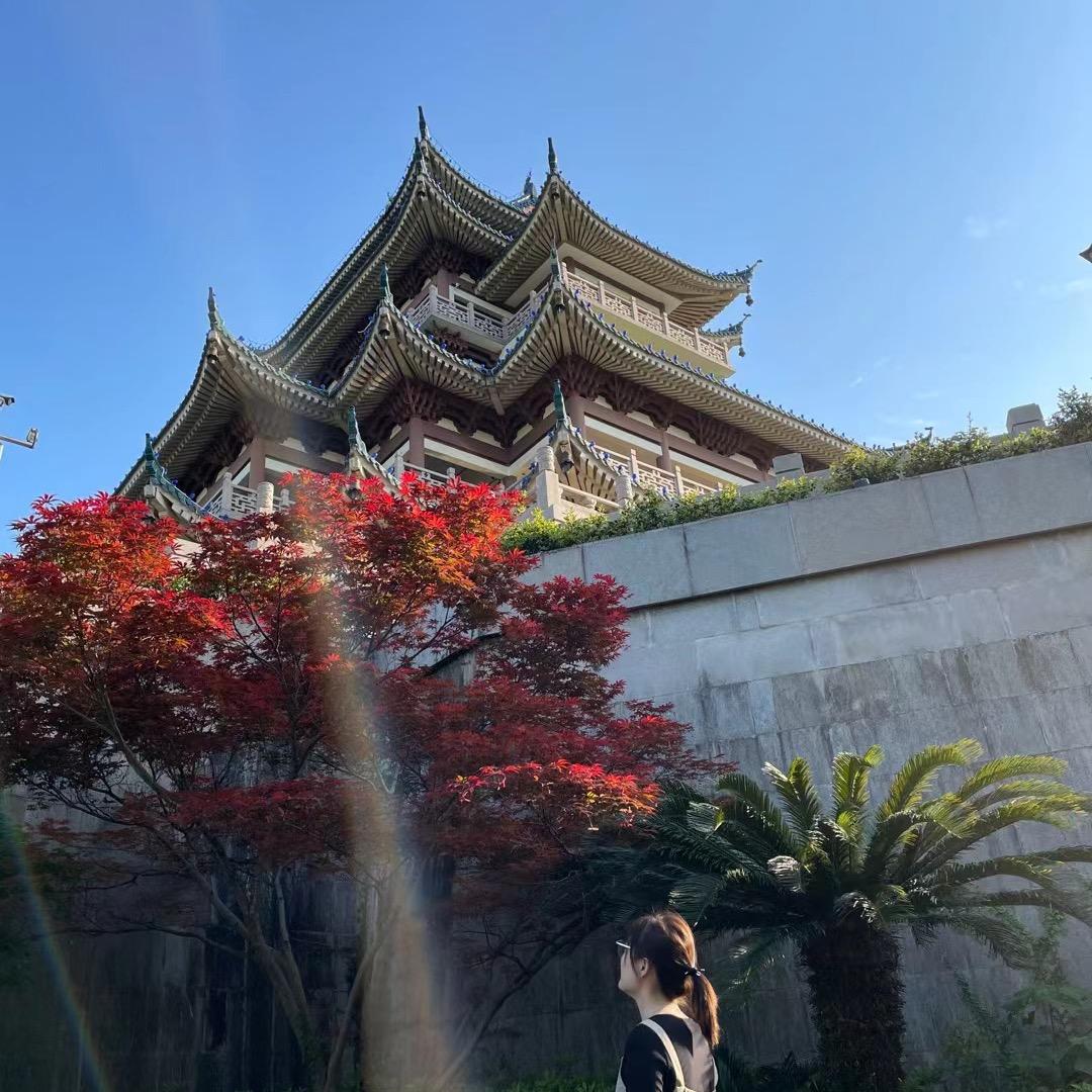 你瞅啥👀
