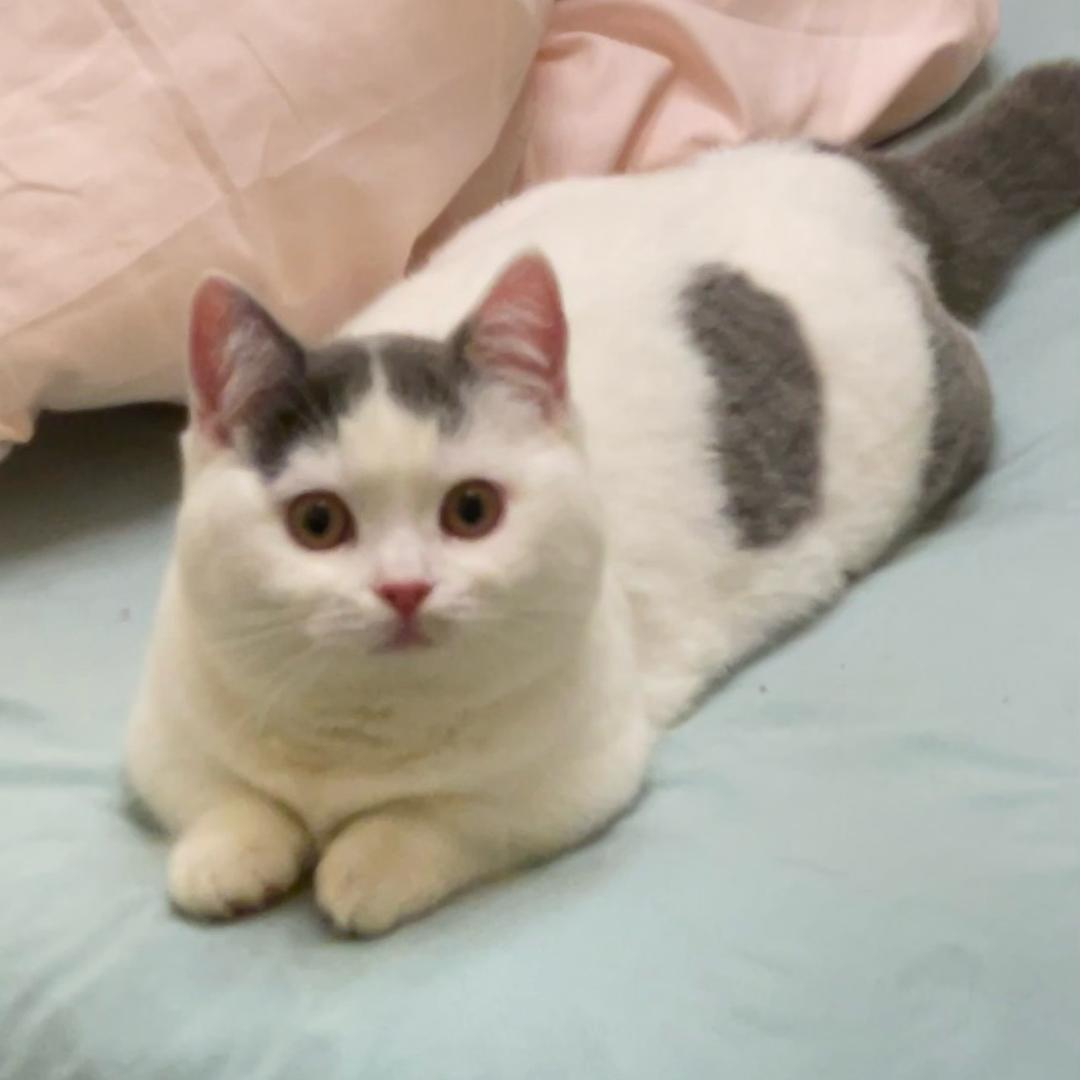 zyxxxx（开心版）