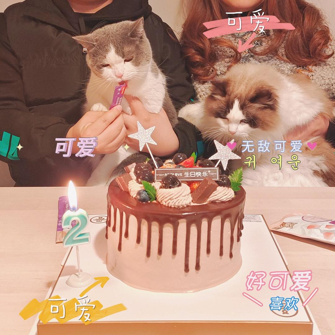 林木木子