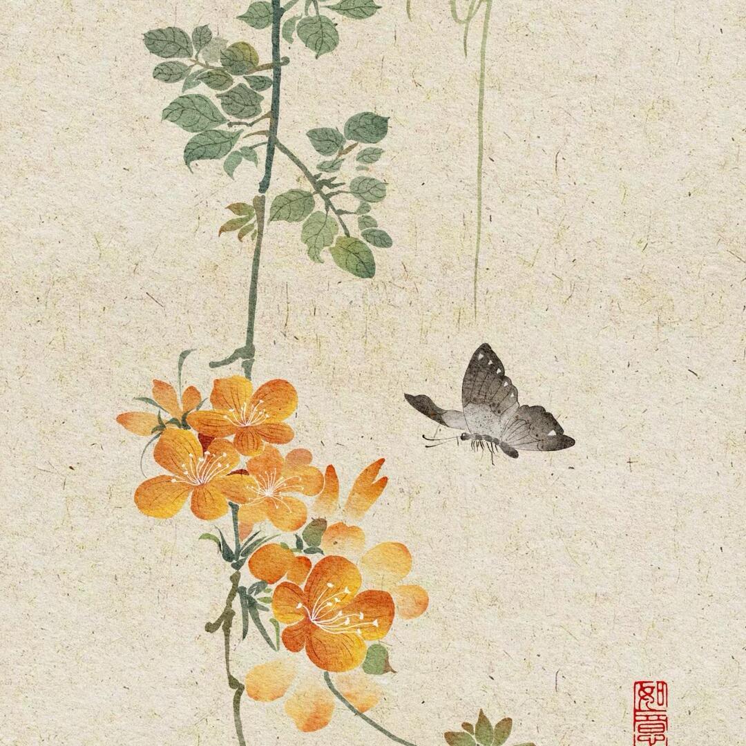 雪瓶