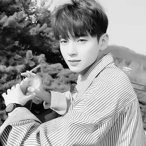 真爱深爱（发条总动员）