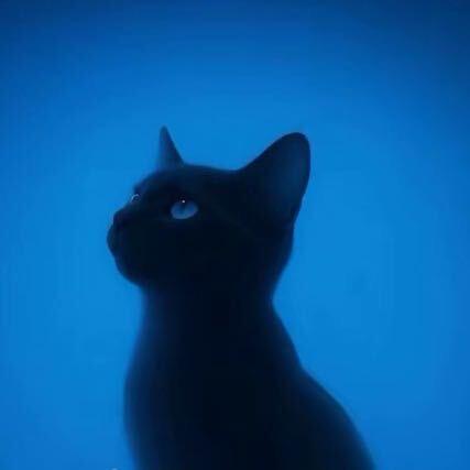 航航网约车湿机