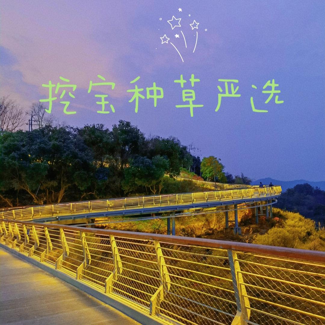 钟儿爱生活