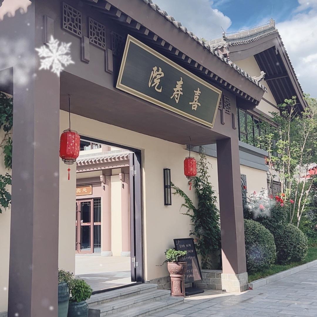 洛洛子