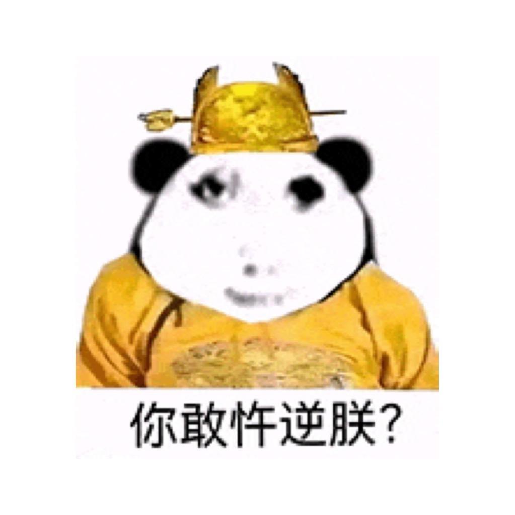 55885668