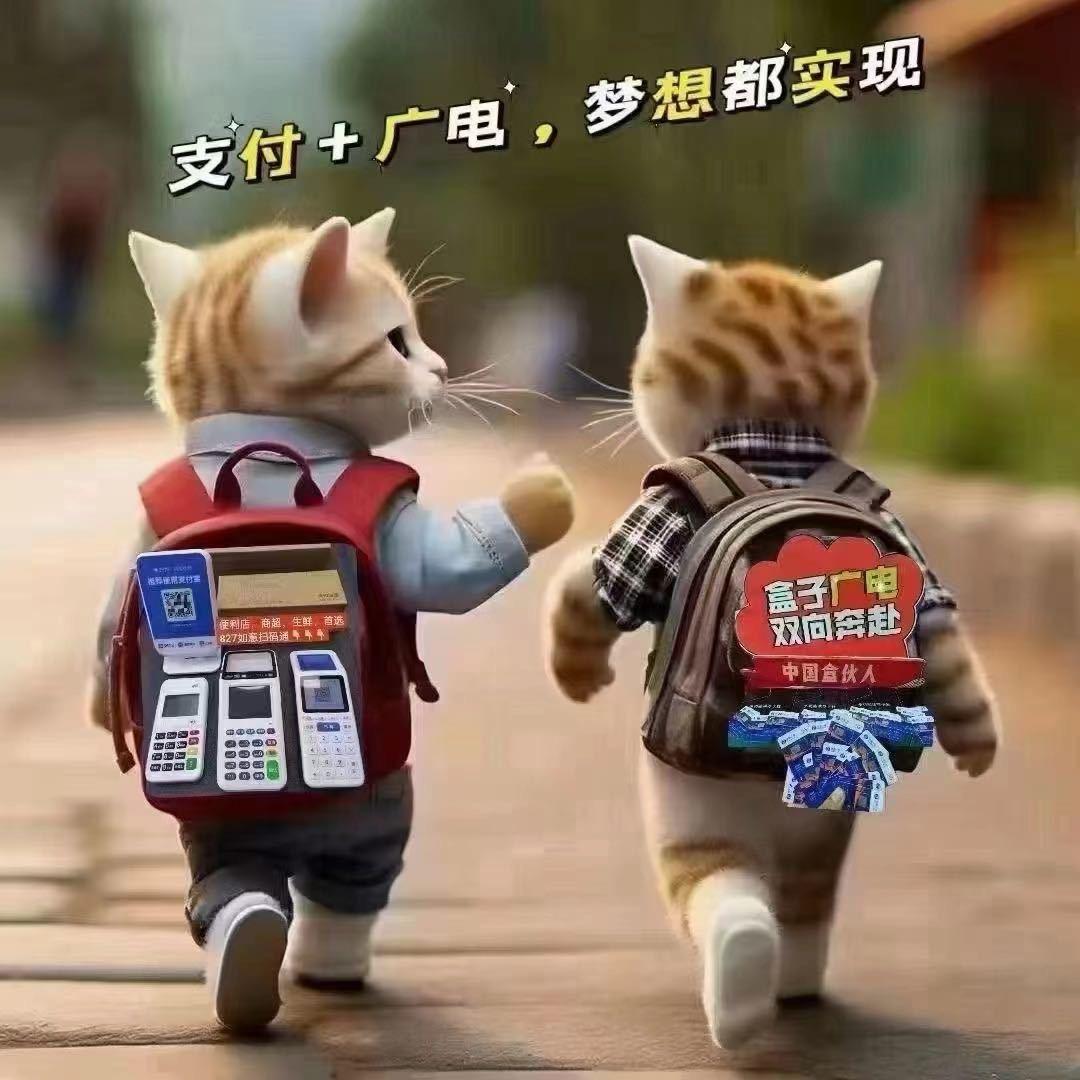 环迅支付卓越系统-小林