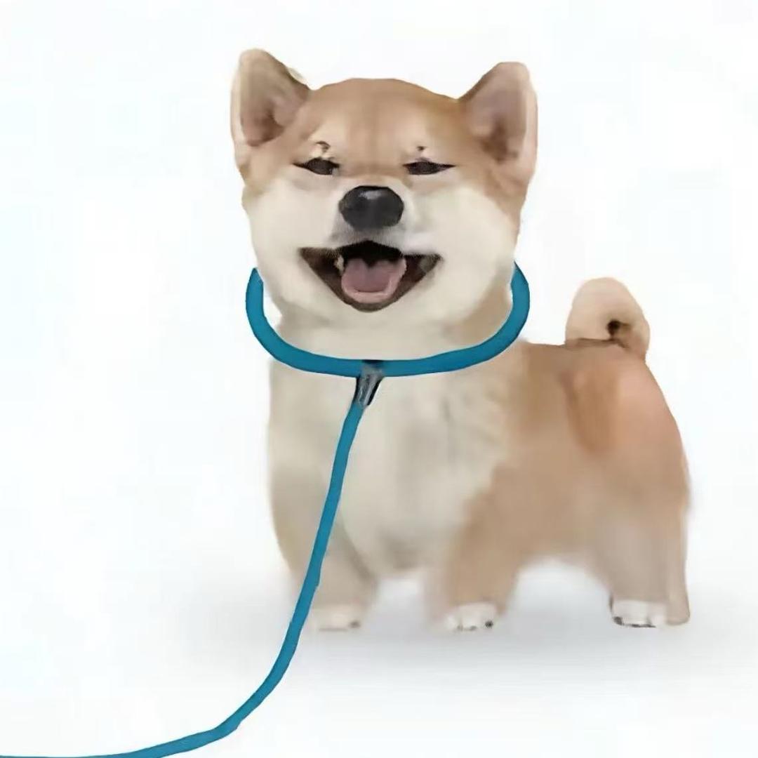 纯恋