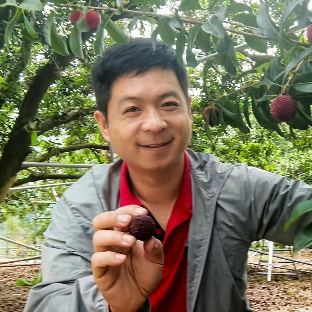 余姚梅老大杨梅（孙来达）
