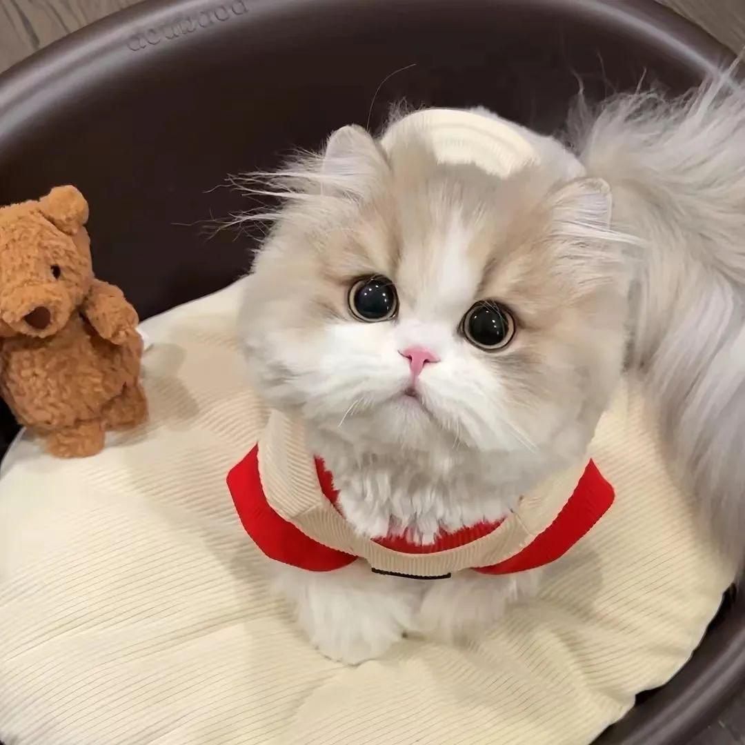 嘟咔