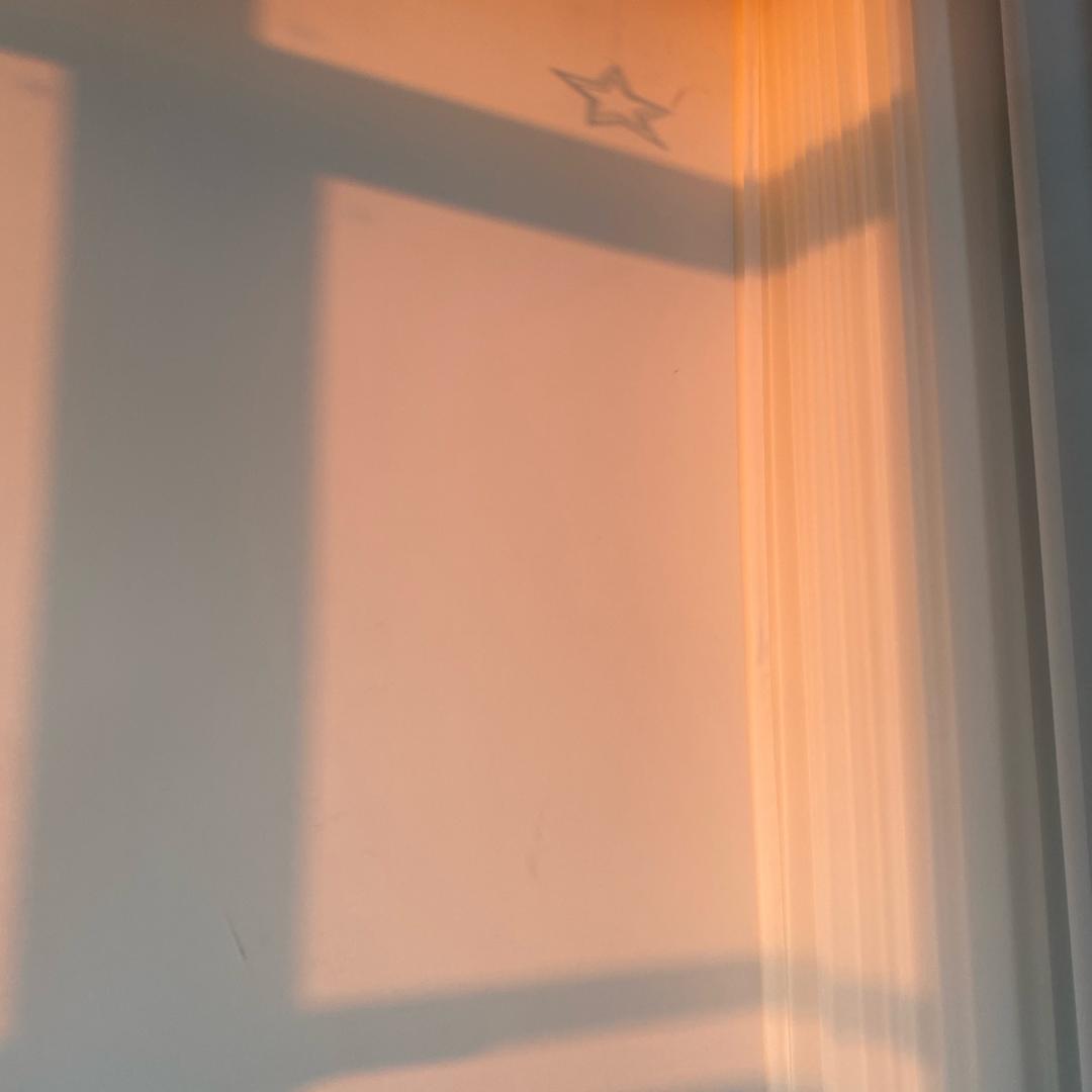 丑橘🍊