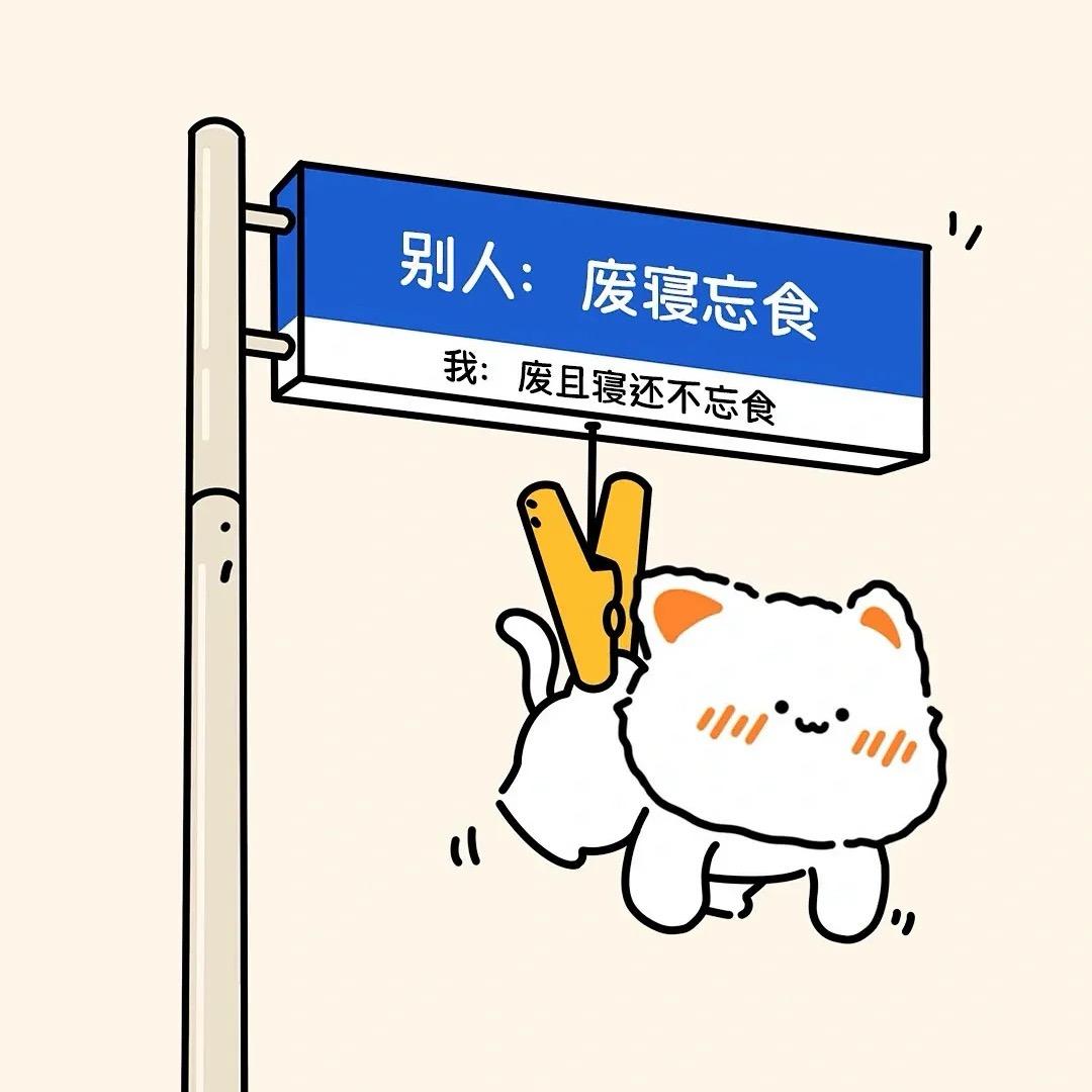 宠儿小懶猫🐱