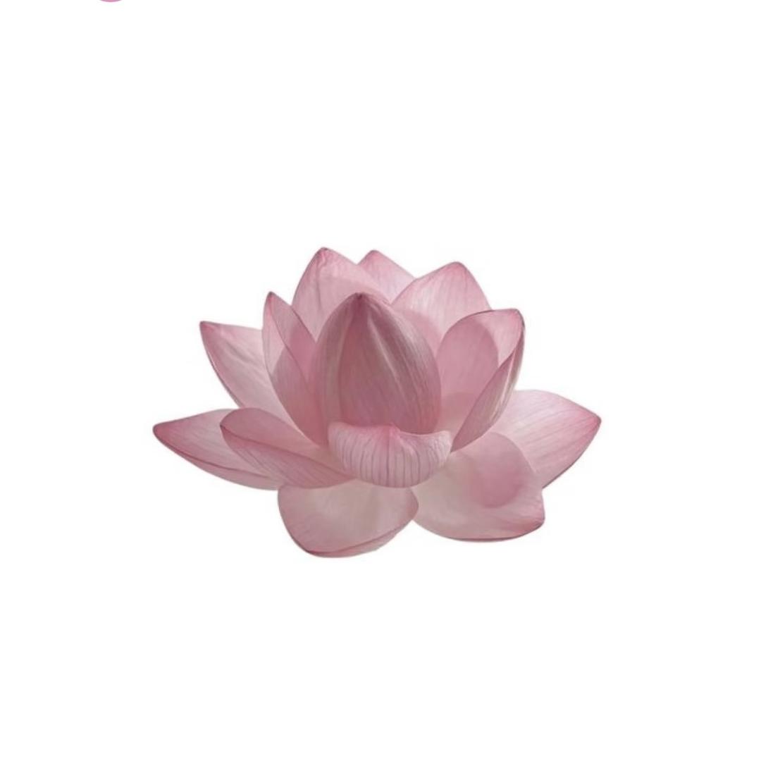 野子