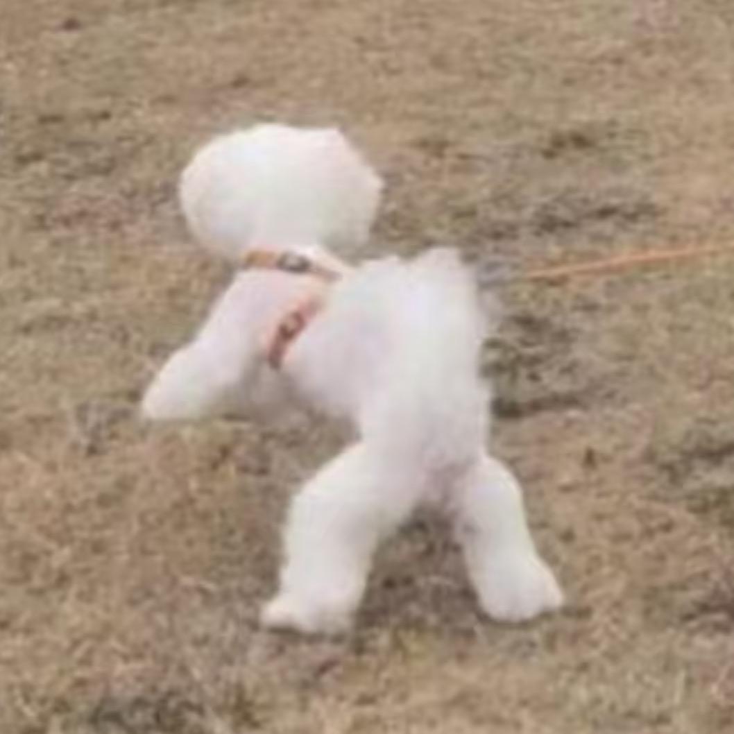 反讽