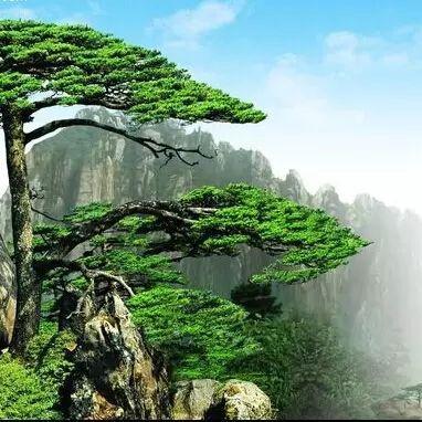 五金工具推荐