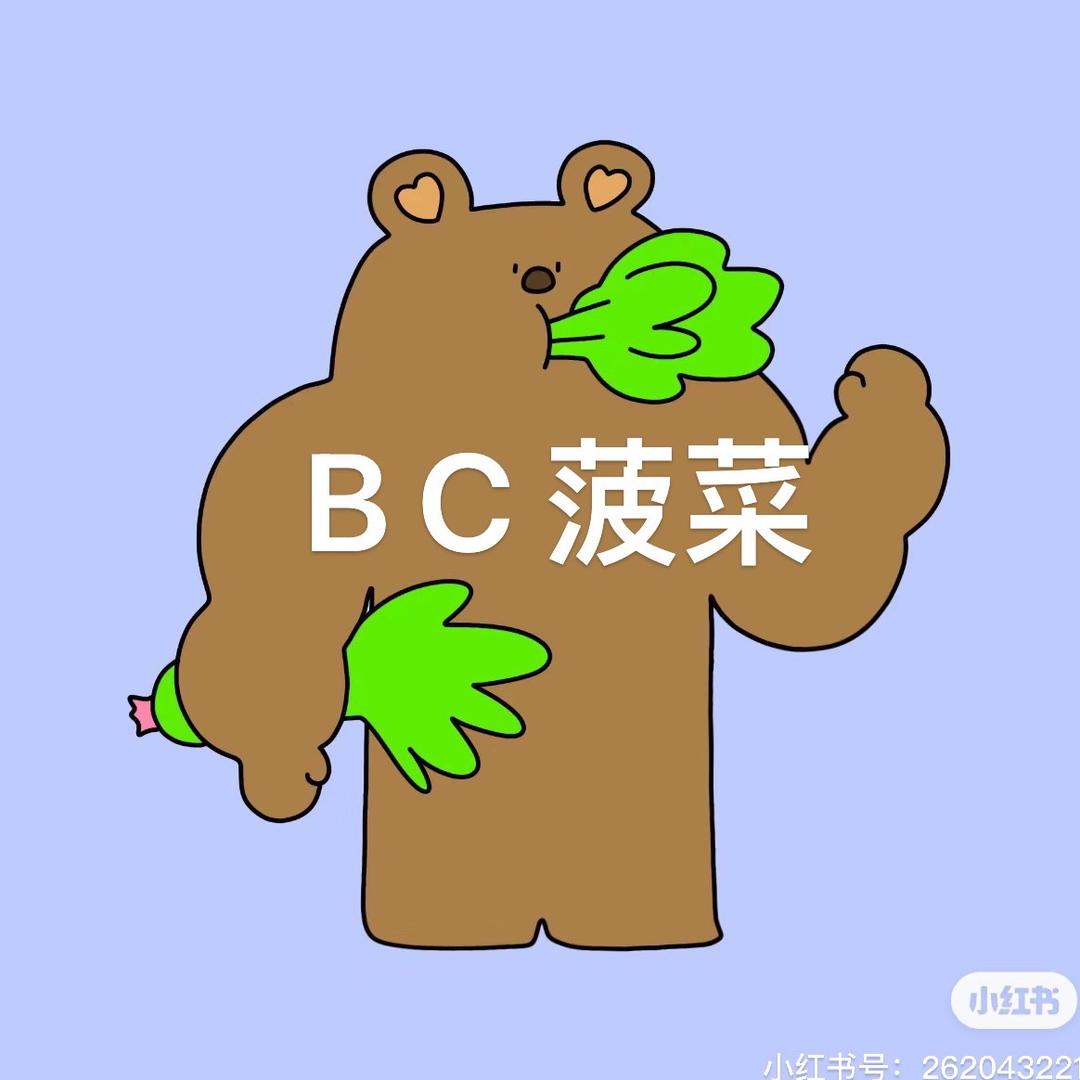bc菠菜潮牌服饰