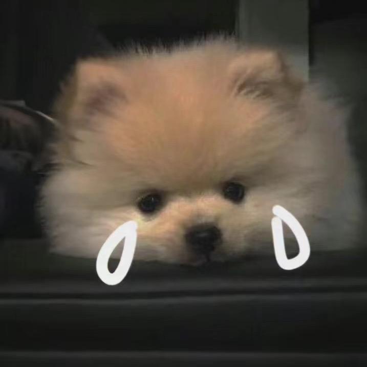 梨子.