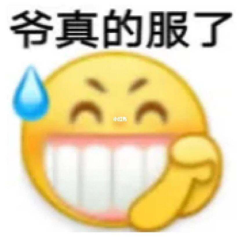 铁裤衩的王