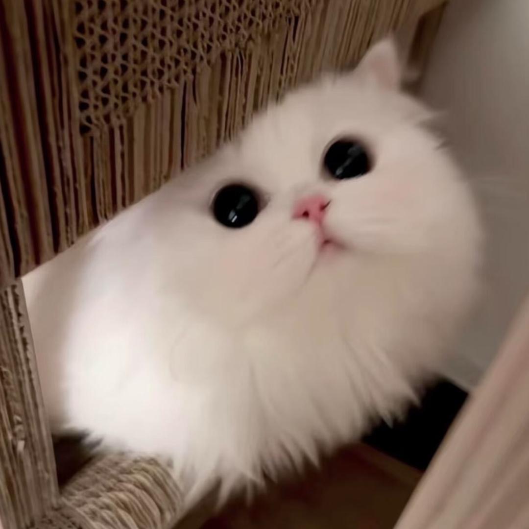 思