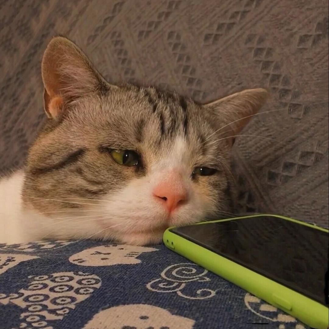 易生玺爱