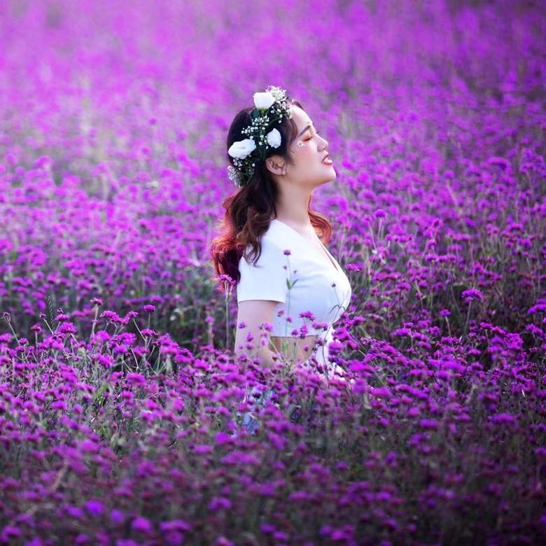 欢欢(好物分享)