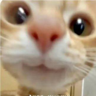 七七杭州麻将🀄️