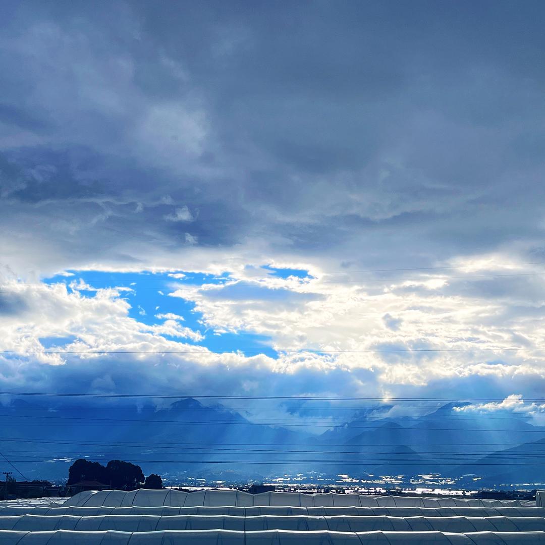 幸运的牛角包🥐