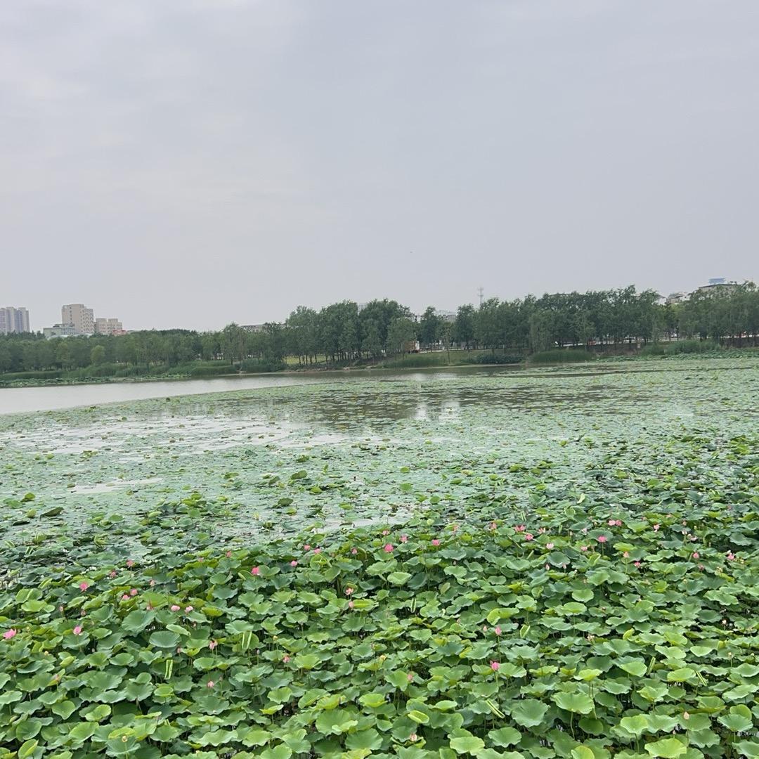 鹤壁选好房咨询