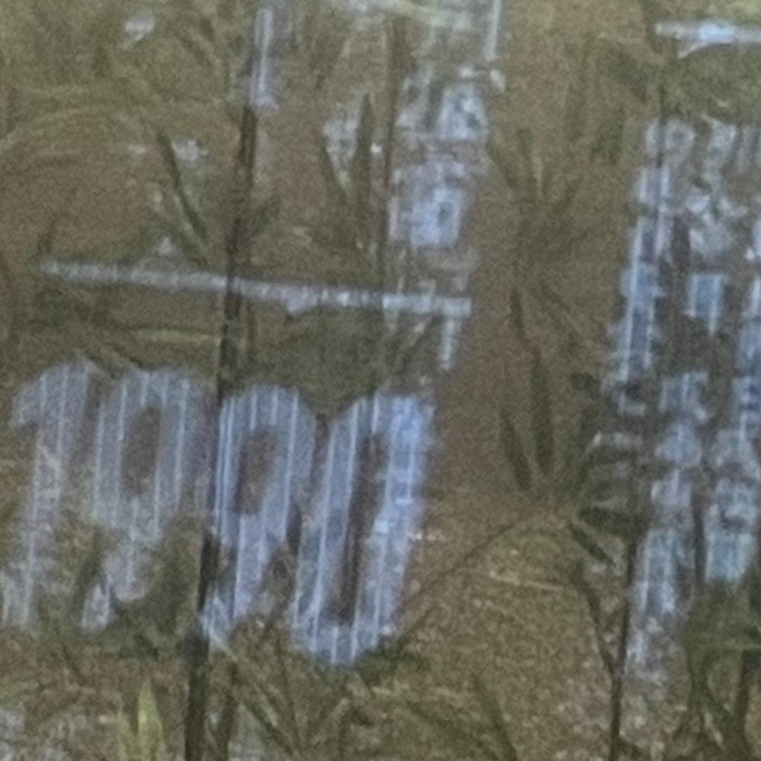 那锅鱼🐟🐠🐡🎣